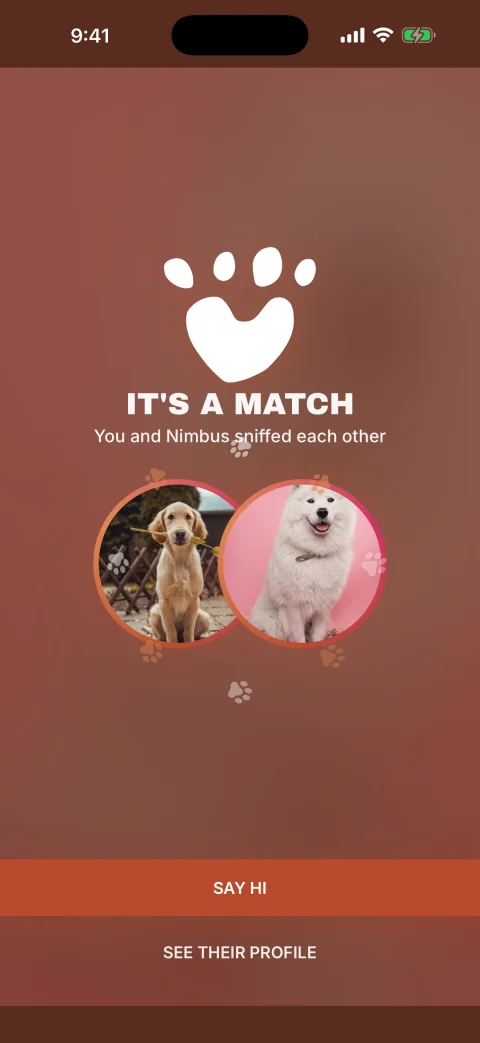 The Furiendly match screen reading It&rsquo;s a Match with Nimbus